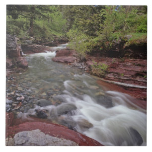 Lost Horse Creek im Waterton-Lakes-Nationalpark Fliese