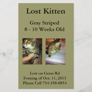 Lost Kitten Flyer