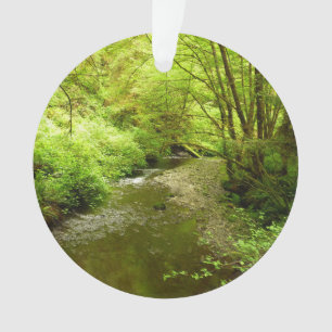Lost Man Creek I im Redwood National Park Ornament