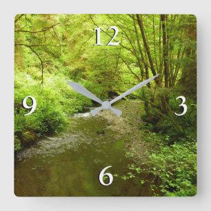 Lost Man Creek I im Redwood National Park Quadratische Wanduhr