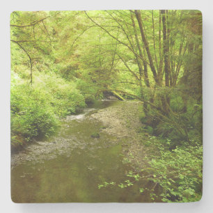 Lost Man Creek I im Redwood National Park Steinuntersetzer