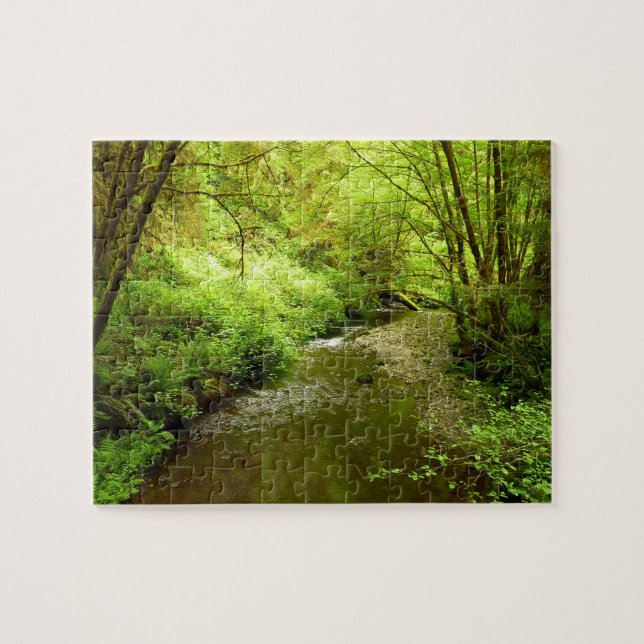 Lost Man Creek I im Redwood Nationalpark (Horizontal)