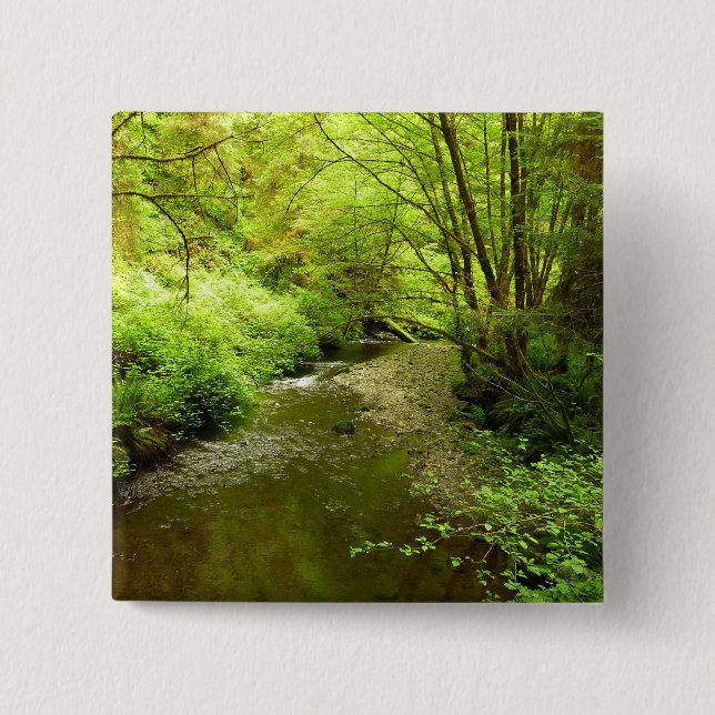 Lost Man Creek I im Redwood Nationalpark Button (Vorderseite)
