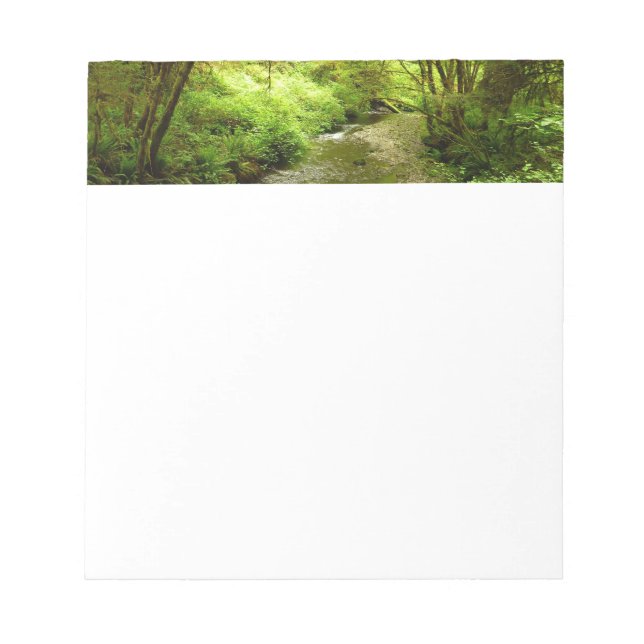 Lost Man Creek I im Redwood Nationalpark Notizblock (Vorderseite)