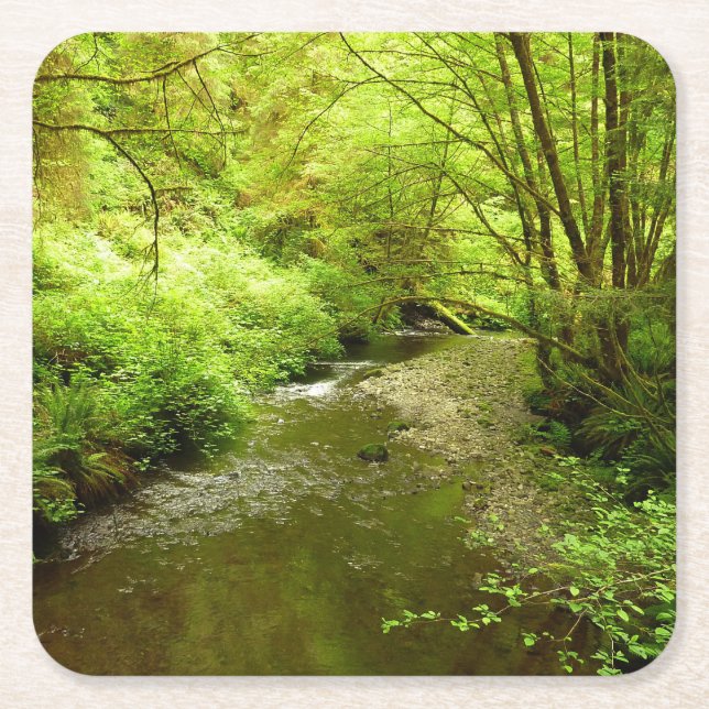 Lost Man Creek I im Redwood Nationalpark Rechteckiger Pappuntersetzer (Vorderseite)