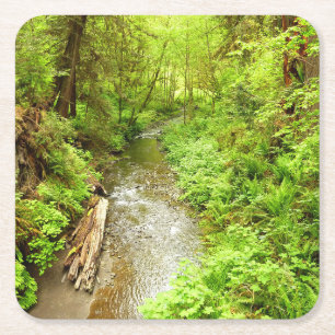 Lost Man Creek II im Redwood National Park Rechteckiger Pappuntersetzer