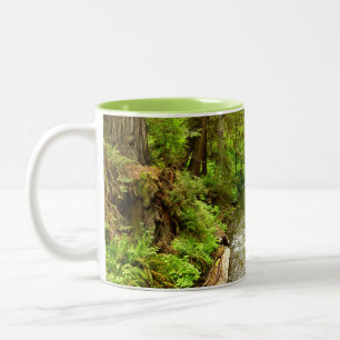 Lost Man Creek II im Redwood National Park Zweifarbige Tasse