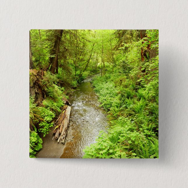 Lost Man Creek II - Redwood Nationalpark Button (Vorderseite)