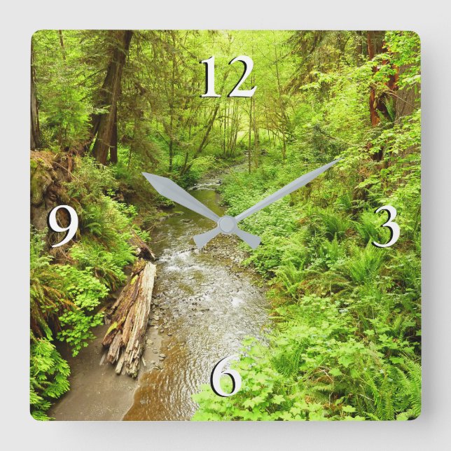 Lost Man Creek II - Redwood Nationalpark Quadratische Wanduhr (Vorderseite)