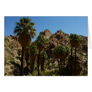 Lost Palms Oasis I at Joshua Tree National Park