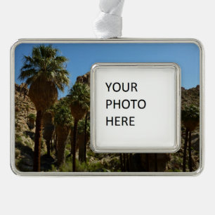 Lost Palms Oasis I at Joshua Tree National Park Rahmen-Ornament Silber