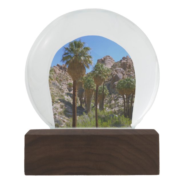 Lost Palms Oasis I at Joshua Tree National Park Schneekugel (Vorderseite)