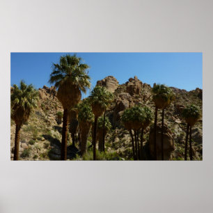 Lost Palms Oasis I im Joshua-Tree-Nationalpark Poster