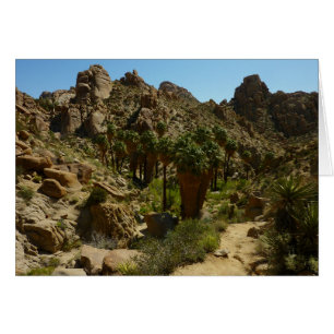 Lost Palms Oasis II im Joshua-Tree-Nationalpark