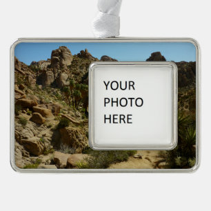 Lost Palms Oasis II im Joshua-Tree-Nationalpark Rahmen-Ornament Silber