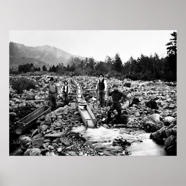 LÖSUNG für GOLD c. 1890 Poster (Vorne)