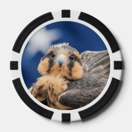 Lot De Jeton De Poker ADiplomado Falcon avec drapeau
