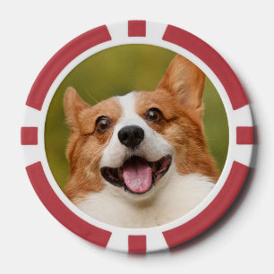 Lot De Jeton De Poker Ajouter photo de chien personnalisé Customisé