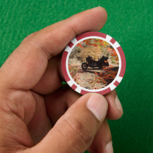 Lot De Jeton De Poker Automne Trike Divot Outil d'ouverture de bouteille