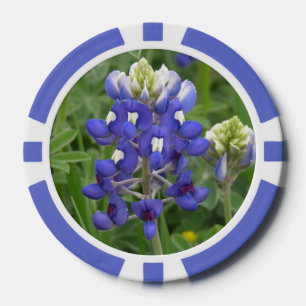 Lot De Jeton De Poker Bluebonnet de Texas