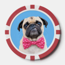 Bouledogue portant un nœud papillon rose