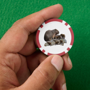 Lot De Jeton De Poker Capybaras De Mère Et De Bébé,