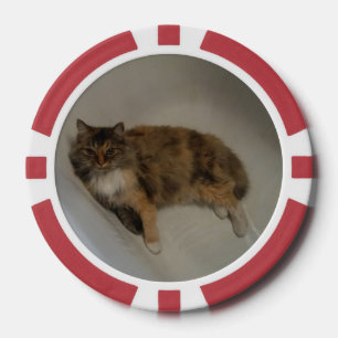 Lot De Jeton De Poker Cat