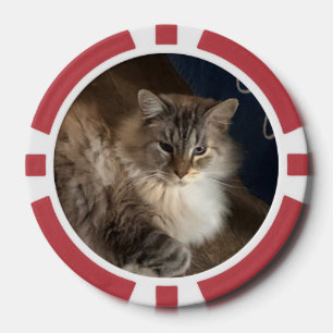 Lot De Jeton De Poker Cat