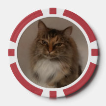 Chat