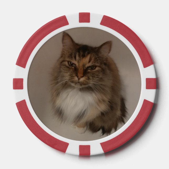 Lot De Jeton De Poker Chat et chien (Recto)