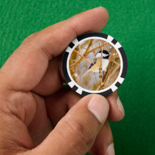 Lot De Jeton De Poker Chickadee au plafond noir - Photo originale