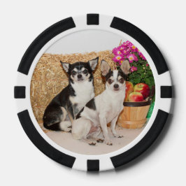 Lot De Jeton De Poker Chihuahua est à l'automne