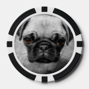 Lot De Jeton De Poker Chiot de carlin