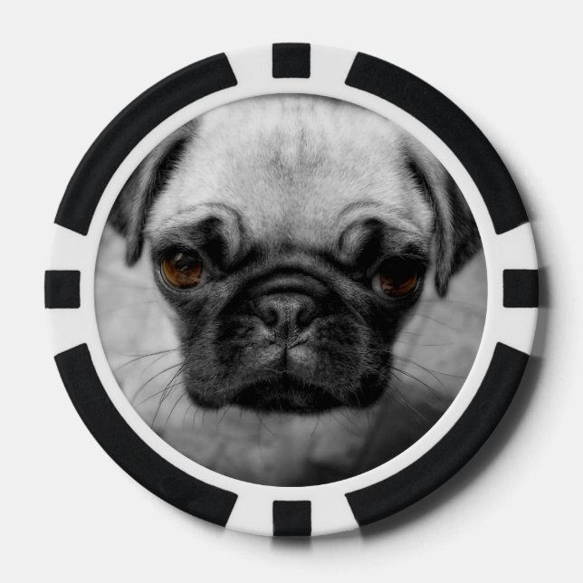 Lot De Jeton De Poker Chiot de carlin (Recto)