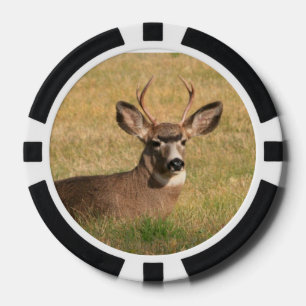 Lot De Jeton De Poker Chip de poker de cerfs