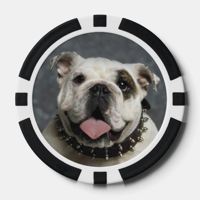 Lot De Jeton De Poker Chips de poker Bulldog anglais (Recto)