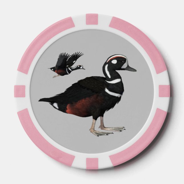 Lot De Jeton De Poker Chips de poker Harlequin Duck (Recto)
