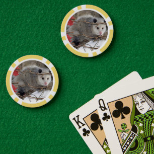 Lot De Jeton De Poker Chips de poker Opossum Nature