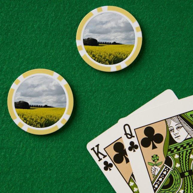 Lot De Jeton De Poker Golden Waves of Streatham (Table de poker (double))