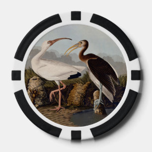Lot De Jeton De Poker Impression d'oiseau Ibis blanc de John James Audub