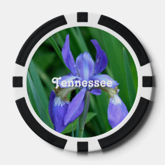 Lot De Jeton De Poker Iris
