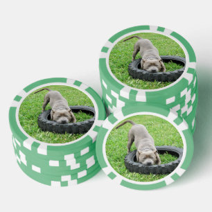 Lot De Jeton De Poker Jeune Homme Qui Joue Avec Son Pneu,