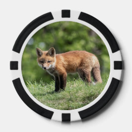Lot De Jeton De Poker Kit Red Fox