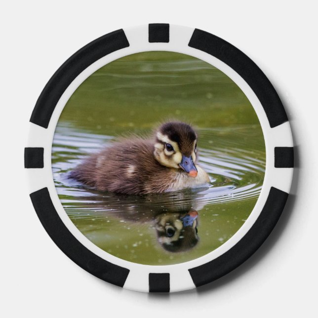 Lot De Jeton De Poker Mallard Duckling (Recto)