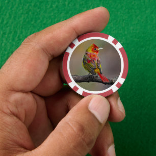 Lot De Jeton De Poker Moulage de Tangère - Photo originale