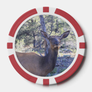Lot De Jeton De Poker Oie