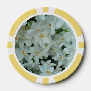 Lot De Jeton De Poker Paperwhite Narcissus Fleurs blanches délicates