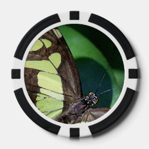 Lot De Jeton De Poker Papillons verts et noirs