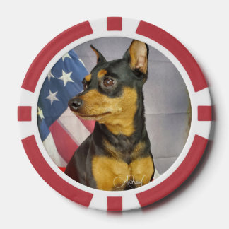 Lot De Jeton De Poker Patriotic MinPIn