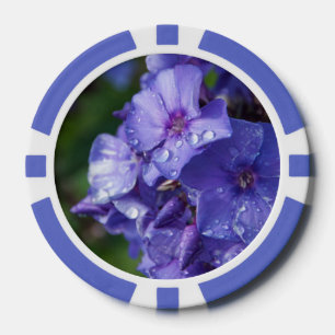 Lot De Jeton De Poker photo fleur violet